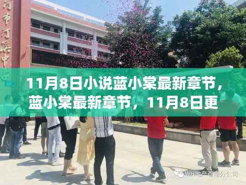 蓝小棠最新章节更新概览,11月8日之我见