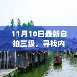 寻找内心的宁静绿洲,最新自拍三级与自然美景之旅