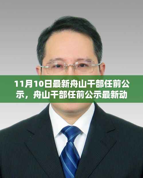 舟山干部任前公示最新动态,11月10日公示的意义与影响分析
