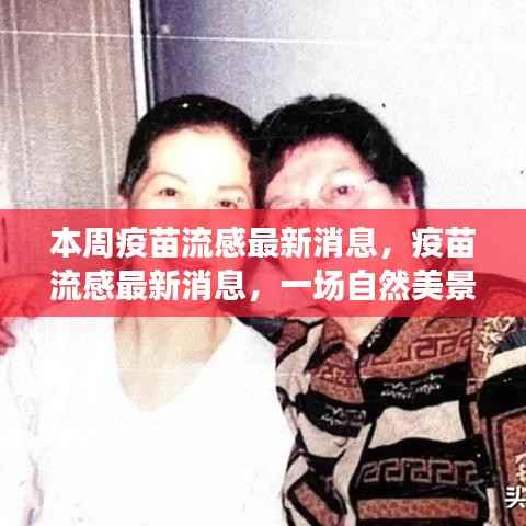 本周疫苗流感最新动态,自然之旅探寻内心宁静与平和的平和心境