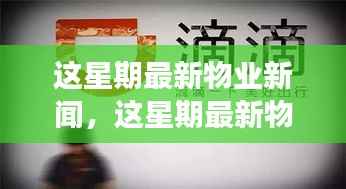最新物业新闻一周概览,全面解读物业领域最新动态