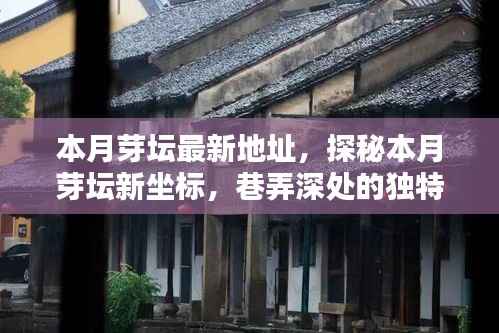 探秘本月芽坛新坐标,巷弄深处的独特小店最新地址揭秘