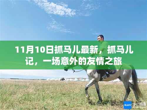意外友情之旅,抓马儿记最新报道