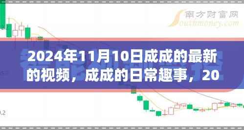 成成的日常趣事,2024年11月10日的温馨时光记录