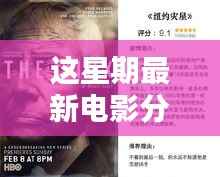 不容错过的五部佳作,最新电影分享与精彩抢先看(小红书推荐)