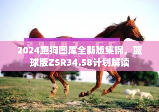 2024跑狗图库全新版集锦,蓝球版ZSR34.58计划解读