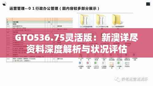 GTO536.75灵活版:新澳详尽资料深度解析与状况评估