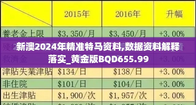 新澳2024年精准特马资料,数据资料解释落实_黄金版BQD655.99