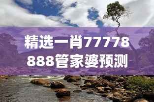 精选一肖77778888管家婆预测,动态词汇解析与WKY355.25改制版解读