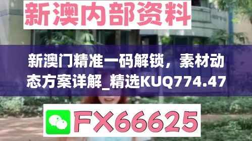 新澳门精准一码解锁,素材动态方案详解_精选KUQ774.47