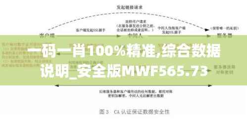一码一肖100%精准,综合数据说明_安全版MWF565.73