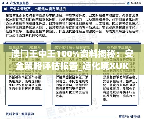澳门王中王100%资料揭秘:安全策略评估报告_造化境XUK645.54