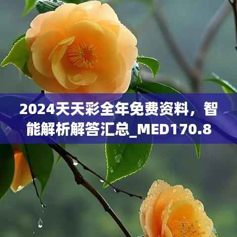 2024天天彩全年免费资料,智能解析解答汇总_MED170.88版