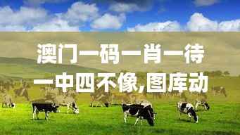 澳门一码一肖一待一中四不像,图库动态赏析_先锋版984.74