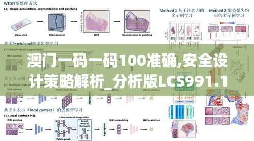 澳门一码一码100准确,安全设计策略解析_分析版LCS991.18