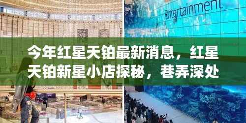 红星天铂新星小店探秘,最新消息与巷弄深处的独特风情