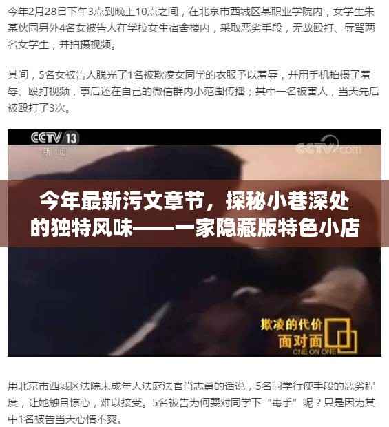 探秘小巷深处的隐藏版特色小店,奇妙之旅揭秘今年最新污文章节