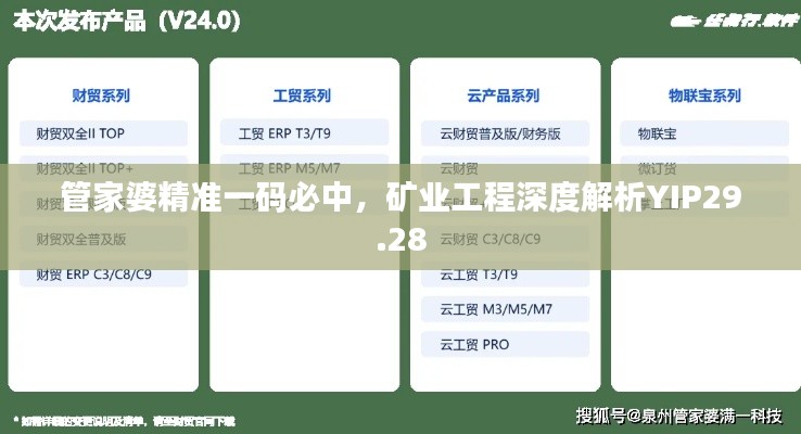 管家婆精准一码必中,矿业工程深度解析YIP29.28
