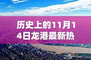 11月14日龙港热搜揭秘,历史挖掘与了解指南——初学者到进阶用户的必备参考
