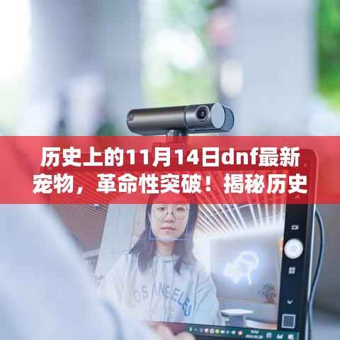 揭秘历史上的11月14日dnf全新智能宠物，未来生活的新伙伴，革命性突破！