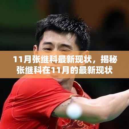揭秘张继科11月最新现状,荣耀与挑战同在