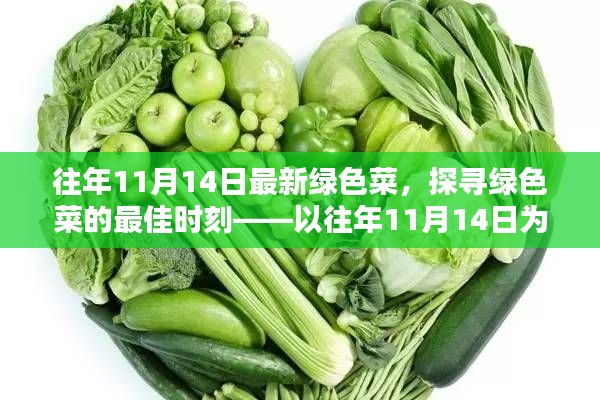 探寻绿色菜的最佳时刻,以往年11月14日为例的蔬菜盛宴