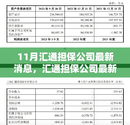 汇通担保公司最新动态解析及观点探析,11月最新消息速递