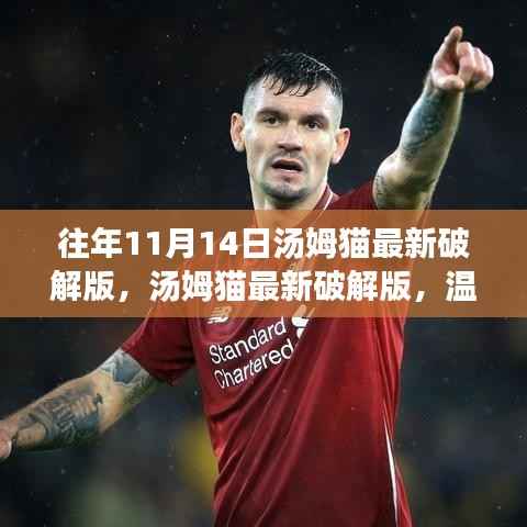 温馨十一月,汤姆猫最新破解版与友情相伴的奇妙日常