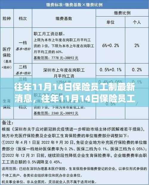 三大要点深度解读，往年11月14日保险员工制最新消息与更新解读