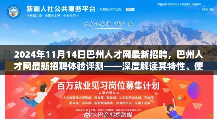 巴州人才网最新招聘体验评测,深度解读特性、用户体验与目标用户分析(2024年11月)