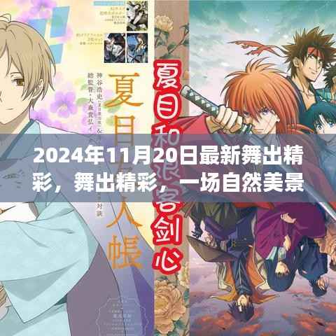 舞出精彩,自然美景的治愈之旅(2024年11月20日最新)