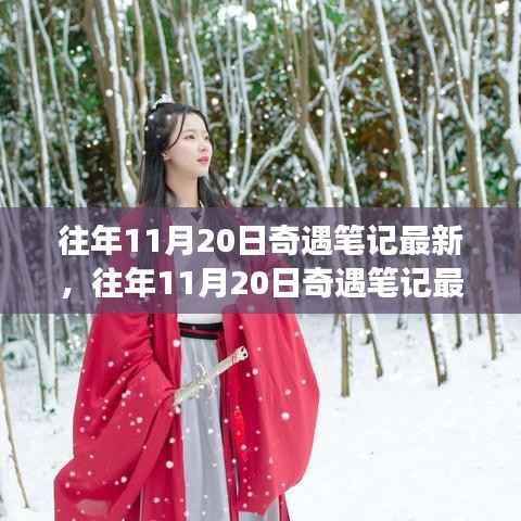 揭秘往年11月20日奇遇笔记,意想不到的旅程揭秘最新动态