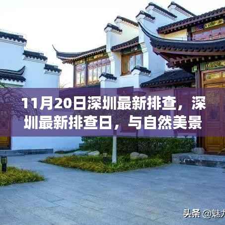 深圳最新排查日,自然美景中的内心宁静之旅