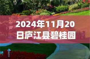 庐江碧桂园智能科技新品惊艳亮相,未来生活无限可能,最新动态揭秘!