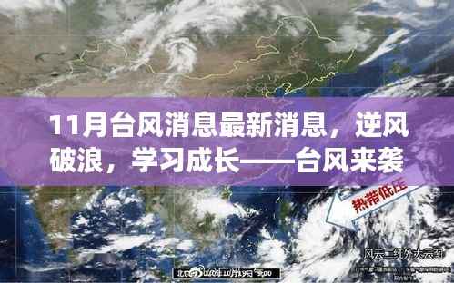 台风来袭,逆风破浪,自信闪耀的成长之路