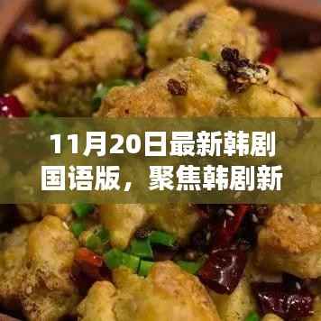 11月20日最新韩剧国语版,聚焦韩剧新风尚,11月20日最新韩剧国语版深度解析