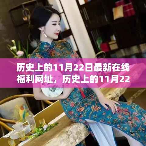 历史上的11月22日与最新在线福利网址,多方观点深度探析