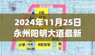永州阳明大道升级改造最新进展深度评测,最新消息与评测报告(2024年11月25日)