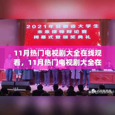 深度剖析与观众立场探讨,11月热门电视剧在线观看大全