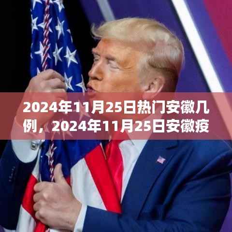 2024年11月25日安徽疫情最新热点解读,病例数量及防控措施