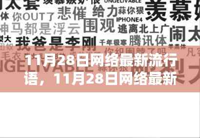 一网打尽最新网络流行语,洞悉潮流,引领风尚