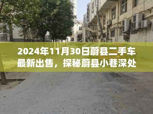 探秘蔚县隐藏车坊,2024年二手车盛宴即将开启!