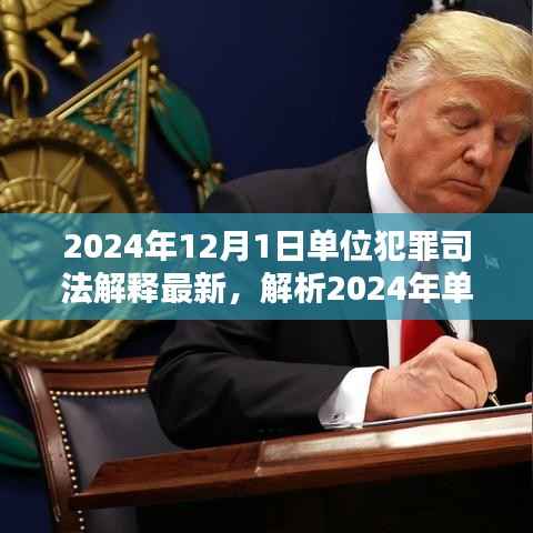 深度解析,2024年单位犯罪司法解释最新动态及三大要点探讨