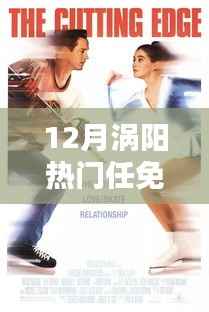 12月涡阳任免人员动态全解析,热门任免指南(初学者与进阶用户必备)