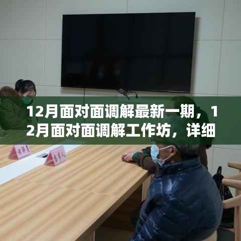 12月面对面调解工作坊,最新一期详细步骤指南与调解策略