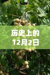 造价咨询 第166页