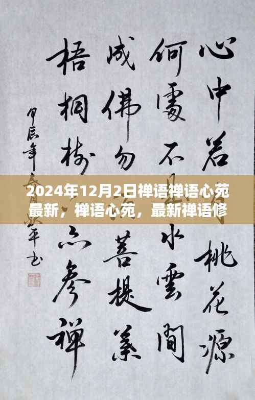 禅语心苑,最新禅语修行指南(初学者与进阶用户适用)——每日禅悟,开启心灵之旅