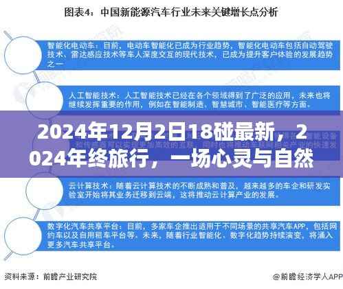 心灵与自然的碰撞,2024年终旅行记