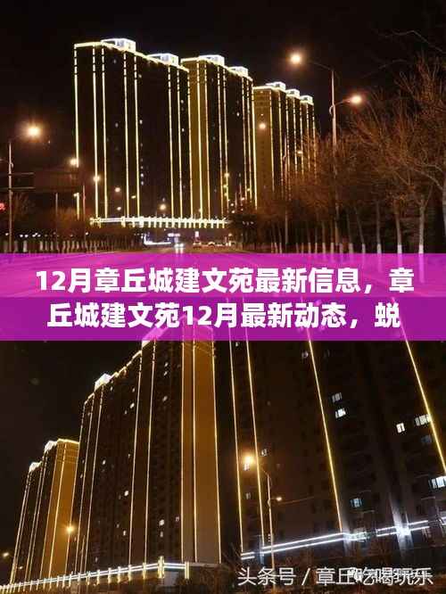 章丘城建文苑12月最新动态,蜕变之月,成就自信与成就感的源泉
