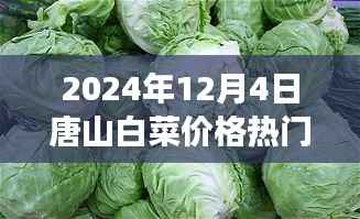 唐山白菜情缘，冬日蔬菜市场的温情故事与白菜价格行情解析